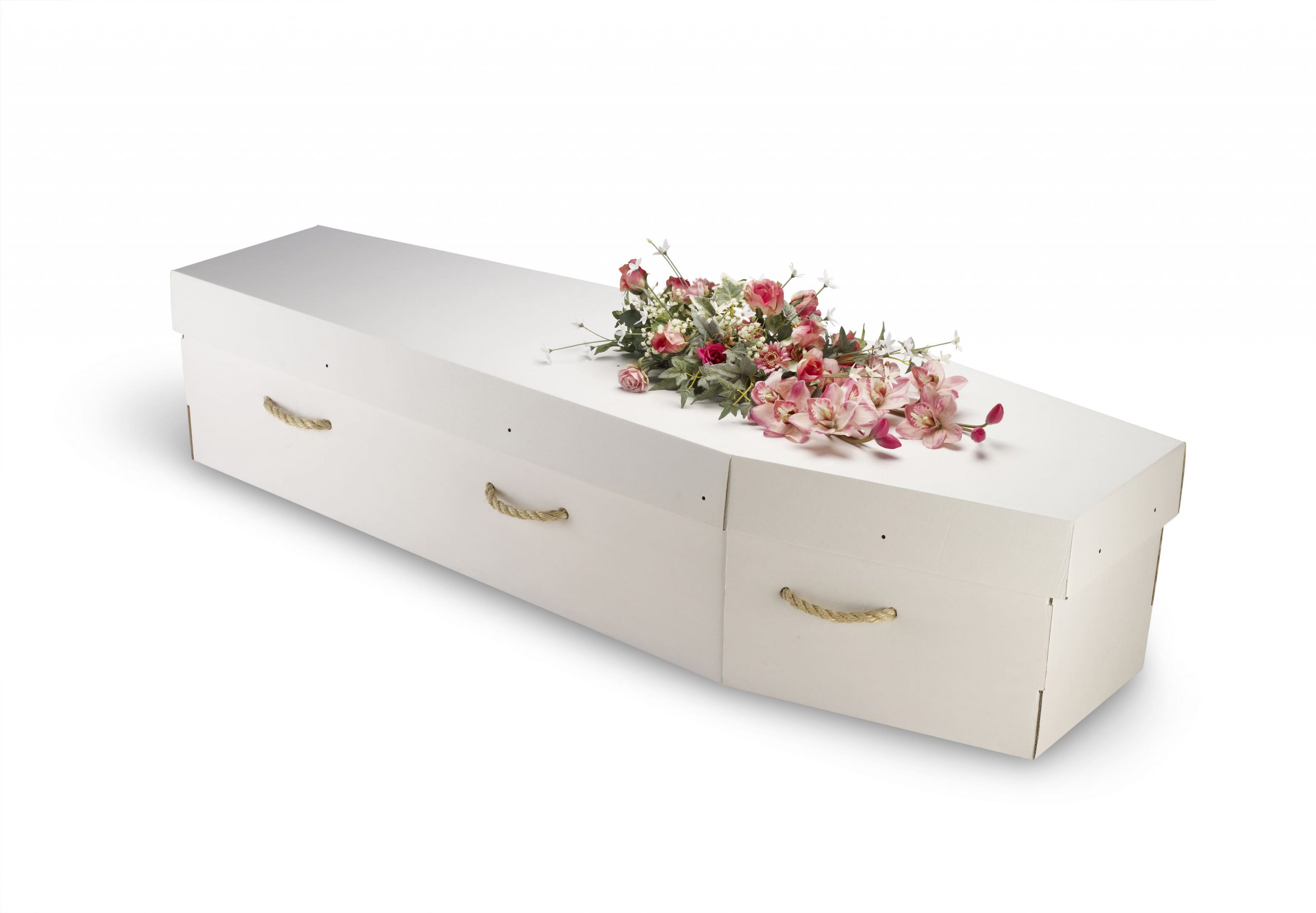cercueil carton